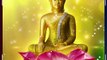 Zen Buddhist Meditation Music: Nature Sounds, Relaxing Music, Calming Music, Soothing Healing Music