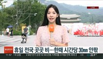 [날씨] 전국 곳곳 강한 비…한낮 30도 안팎 더위