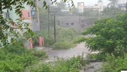 పశ్చిమ గోదావరి: మన జిల్లాలో వర్షం కుమ్మేసింది