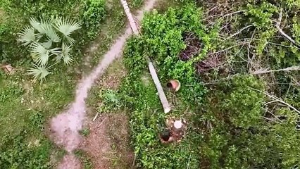 PRIMITIF MEMBUAT RUMAH _ Primitive survival building _ @bangunrumah @primiti