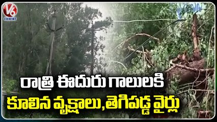 Huge Trees Fallen On Road Due To Heavy Rains In Jangaon  _ V6 News (1)