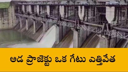 ఆసిఫాబాద్: అడ ప్రాజెక్టు ఒక గేటు ఎత్తివేత
