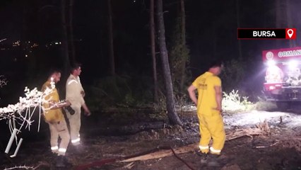 Bursa'da çıkan orman yangınına müdahale ediliyor
