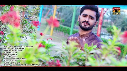 Dard Pyaray Jo Lagdin || Imran Sadiq || (Official Video) || Thar Production