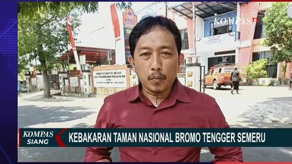 Download Video: Kebakaran Rusak Habitat Hewan dan Tumbuhan di Bromo Tengger Semeru