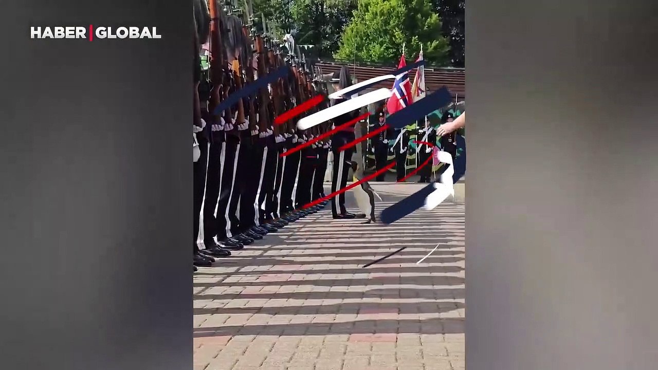 Norveç'te dünyanın en yüksek rütbeli pengueni kayıtlara böyle geçti
