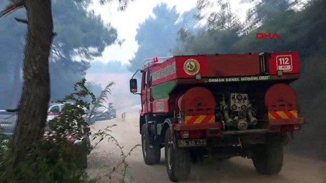 Bursa'da çıkan orman yangını kontrol altına alındı