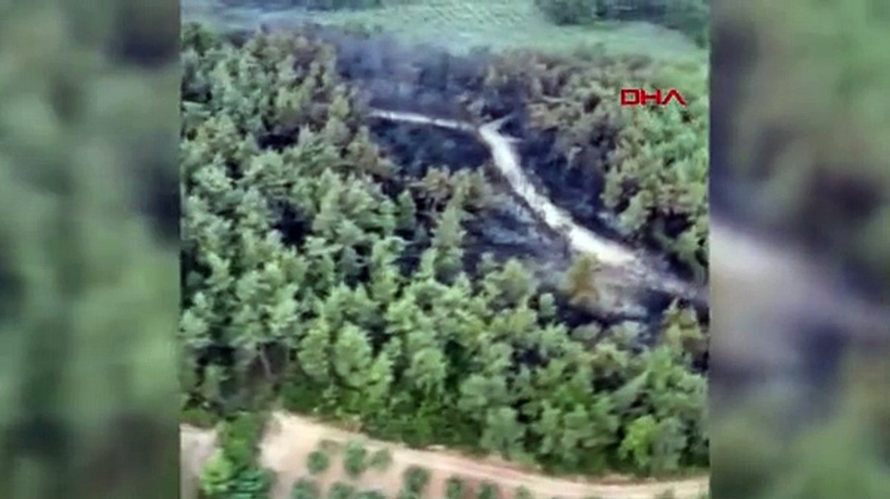 Bursa’da çıkan orman yangını kontrol altına alındı