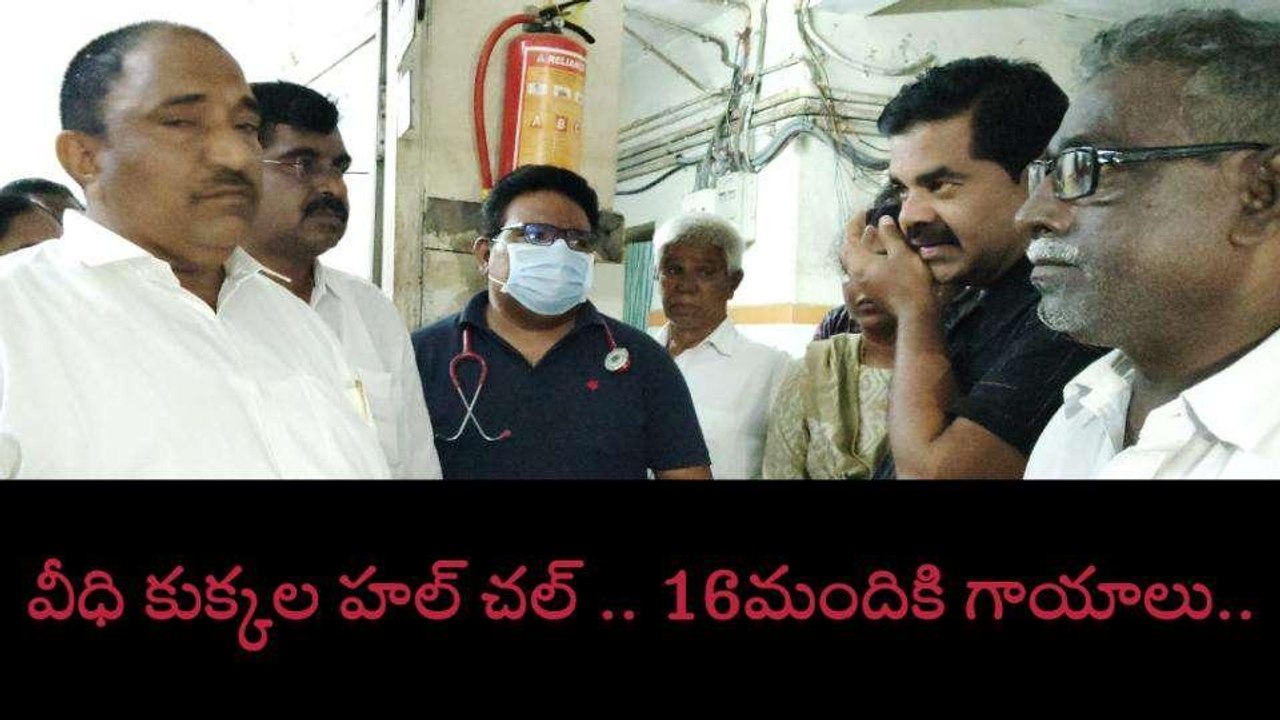 ఖమ్మం: వీధి కుక్కల దాడిలో.. 16 మందికి తీవ్ర గాయాలు..!
