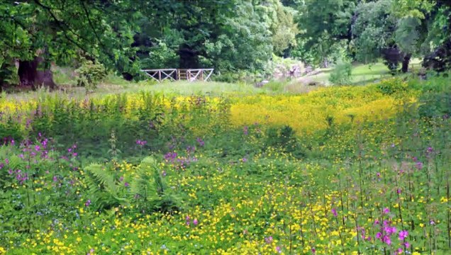 Frédéric Chopin-Nocturne in B-Flat Minor, Op. 9, No.2-REMIX