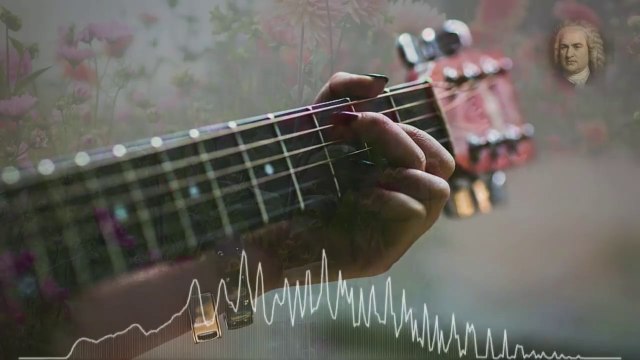 Johann Sebastian Bach-Invention No. 13 In A Minor BWV 784 NEYLON GYITAR