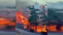 Bursa'da Mudanya ilçesindeki yangın 17 saatte söndürüldü