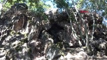 Çanakkale'deki İnkaya Mağarası'nda Paleolitik Döneme Ait Alet Uçları Bulundu
