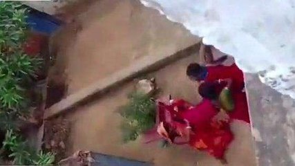 मुंगेर: छेड़खानी का विरोध करने पर घर में घुसकर महिला से मारपीट, वीडियो वायरल