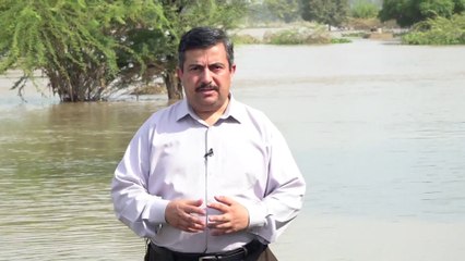 سيناريو كل عام.. الفيضانات تجبر آلاف الباكستانيين على النزوح