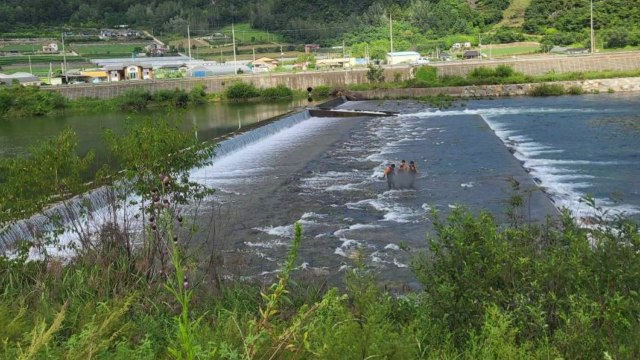강원 평창서 버섯 따러 간 60대 숨진 채 발견 / YTN