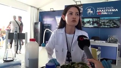 Les étudiants obtiennent de l'hydrogène gazeux grâce à la « laitue de mer » formée à la surface de la mer