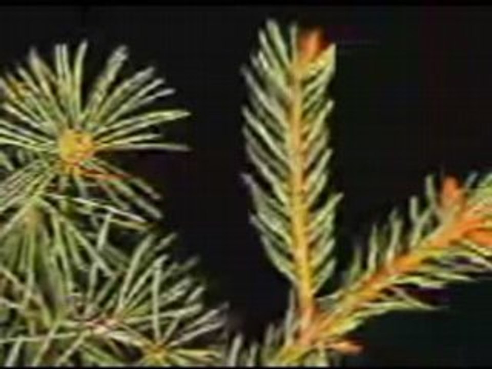 12-scientific miracles in holy quran الرياح لواقح