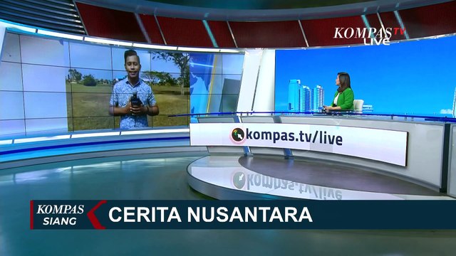 Kemarau Pajang, Produktivitas Panen Padi Petani di Merauke Menurun