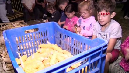 Bartın'da 200 Yıllık Gelenek Devam Ediyor: Mısır İmecesi