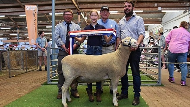 Royal Round-up Day 2