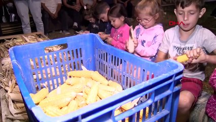 Une tradition vieille de 200 ans se poursuit à Bartın : collaboration égyptienne