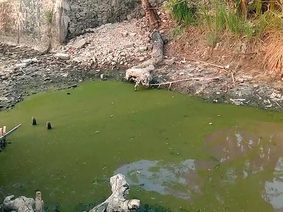 Sungai Rawakalong Mengering