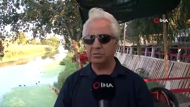 Les citoyens parlant aux singes d'eau à Edirne surprennent ceux qui les voient