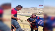 Mardin'de mahsur kalan koyunlar itfaiye ekipleri tarafından kurtarıldı