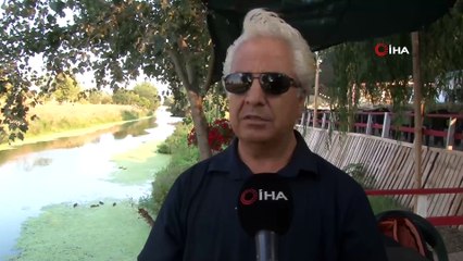 Su maymunlarına konuşan adam görenleri hayret ettiriyor: “Onlarla resmen konuşuyorum”