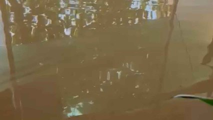 Inundación Azucaica en Toledo