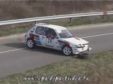 sortie de route 205 rallye