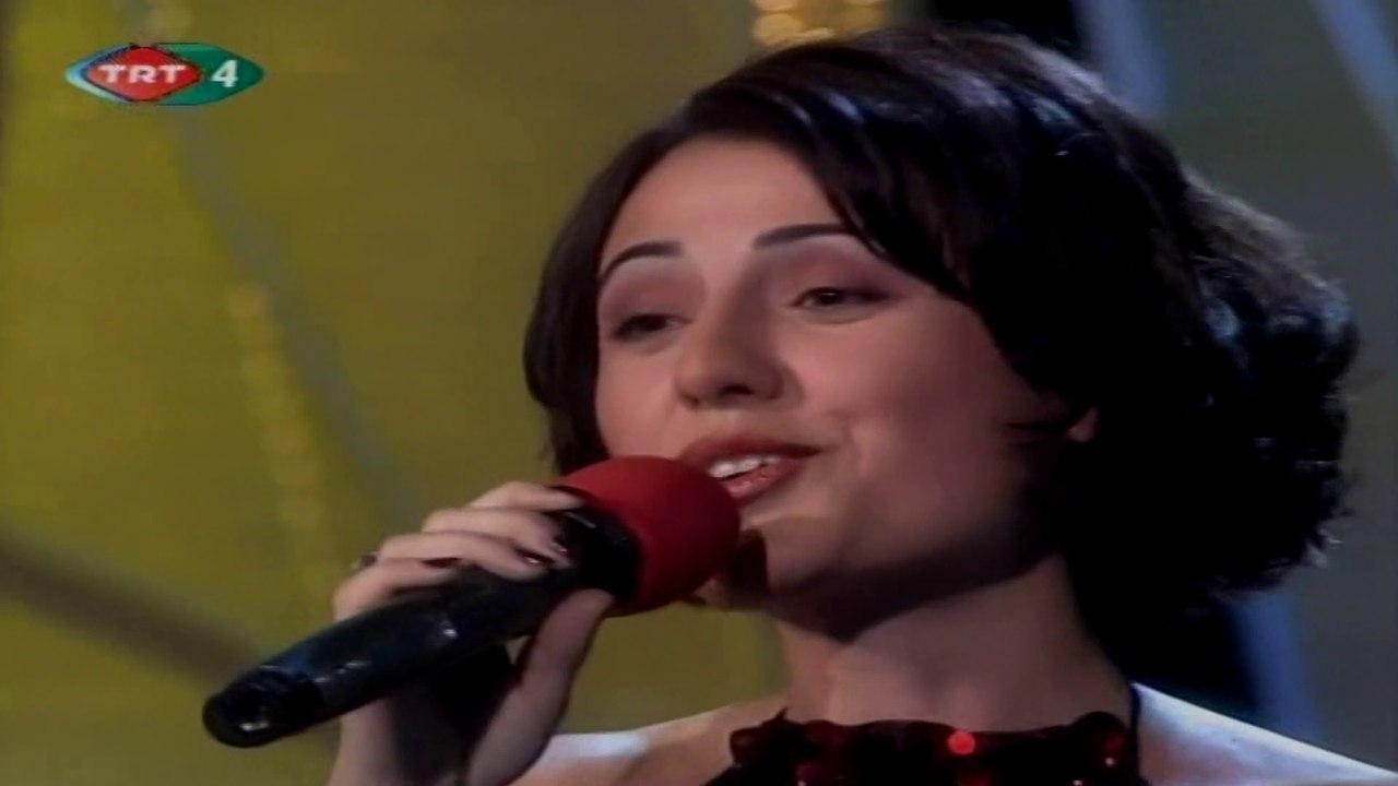 Neşe Dursun / Geçsin günler haftalar aylar mevsimler yıllar