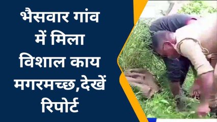 सोनभद्र: विशालकाय मगरमच्छ से हडकंप, वन विभाग ने किया रेस्क्यू