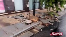 Inundaciones y daños en San Juan de Aznalfarache por las lluvias