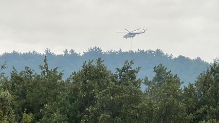 Kütahya'da Ormanda Yangın Çıktı