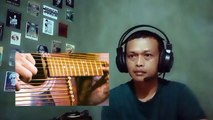 Wow!? - 21 String Acoustic Guitar Solo (Fingerstyle Cover)