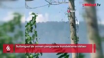 Sultangazi'de orman yangınında kundaklama iddiası