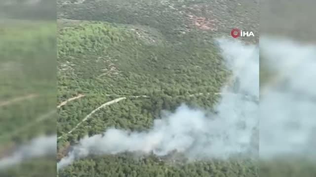 İzmir'de orman yangını: Yangına havadan ve karadan müdahale ediliyor
