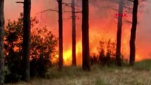 Sultangazi’de orman yangını! Vatandaşlar tahliye edildi