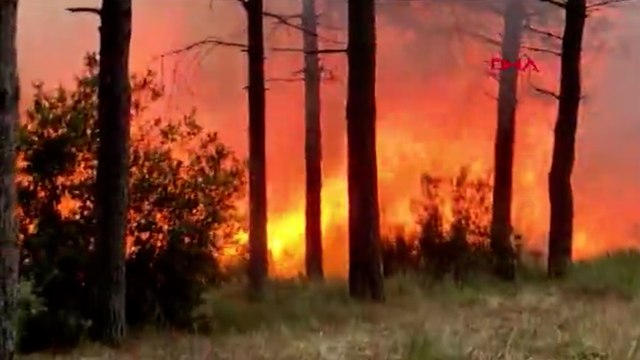 Sultangazi’de orman yangını! Vatandaşlar tahliye edildi