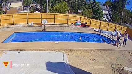 When Dog Sitting Goes Wrong | Doorbell Camera Video