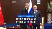 Putin y Erdogan se verán en Sochi para tratar de reanudar el acuerdo del grano ucraniano