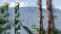 Sultangazi Kent Ormanı'ndaki yangında kundaklama iddiası! Kaçarken vatandaşın kamerasına yakalandılar