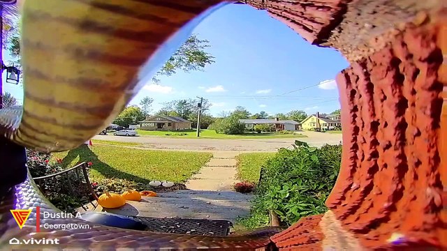 Vivint Doorbell Camera Captures a Snake Slithering on The Front Door | Doorbell Camera Video