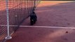 Sophie Davant joue au tennis avec sa fille Valentine. Leur chien Raoul assiste au match.