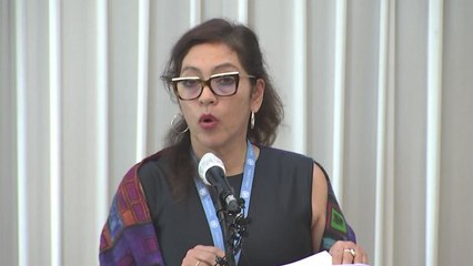 살몬 유엔 北인권보고관 방한...정부 인사·탈북민 면담 / YTN