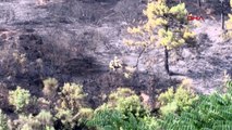 Sultangazi Kent Ormanı'nda Çıkan Yangında Sabotaj İddiası