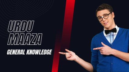 General Knowledge Part 2  l Information l Dilchasp Mahloumat l Urdu Maaza