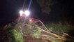 Temporal derruba árvores e postes na BR-369 entre Cascavel e Corbélia
